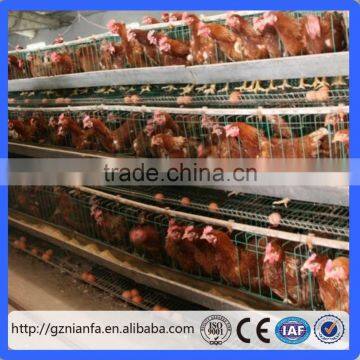 A type 4 layers automatic feeding system electric chicken cage layer type (Guangzhou Factory)