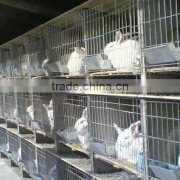 Rabbit breading cage/cheap breading cage/20 years /factory supplier