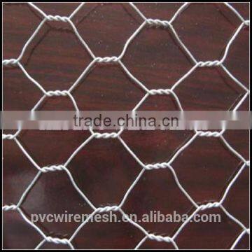 Chicken Coop Hexagonal Wire Mesh photo-3