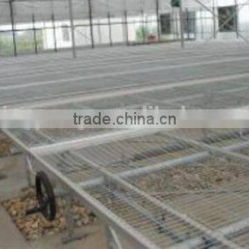 Young Plant Nursery photo-2