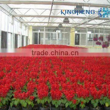 Flower Growing Greenhouse photo-3