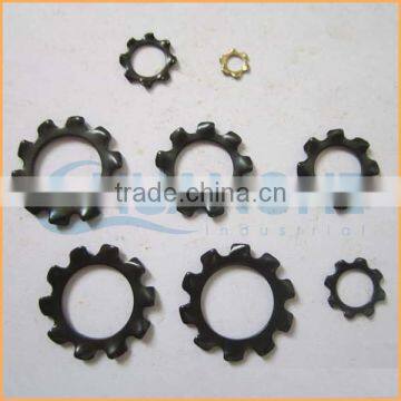 China Professional Manufacturing Ss304 Stainless Steel Serrated Lock Washer photo-6