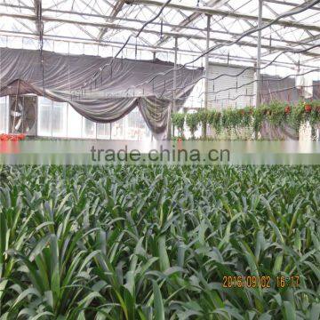 Green House For Agriculture Ventilation photo-5