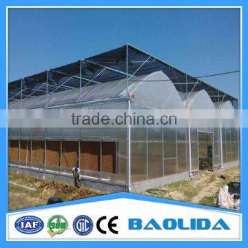 Walk In Greenhouse photo-2