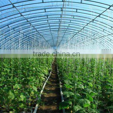 High Quality Tunnel Agricultural Greenhouse for Tomato photo-4
