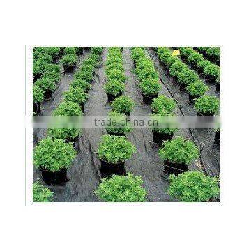 PP weed control mat, ground cover