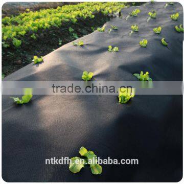 Agriculture Cover pp Spunbond Non Woven photo-2