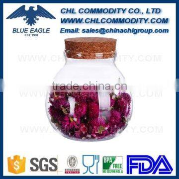 High-quality Unbreakable Glass Canist photo-6