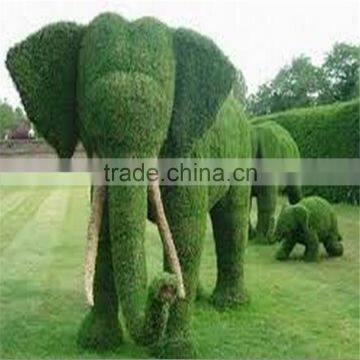 LXY072403 Manufacturer Artificial Grass Animal Topiary Ornamental Artificial Elephant Lawn Animals photo-2