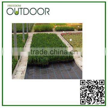 pp Woven Fabric Roll Ground Cover photo-5