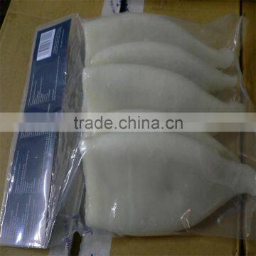 High Quality Pacific Squid Tube (Todarodes Pacificus) photo-6