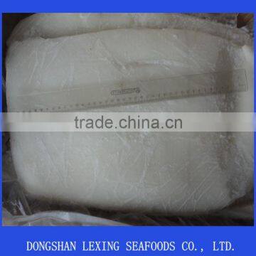 frozen giant squid fillet (Dosidicus Gigas)