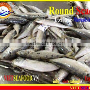 FROZEN W/R ROUND SCAD photo-5