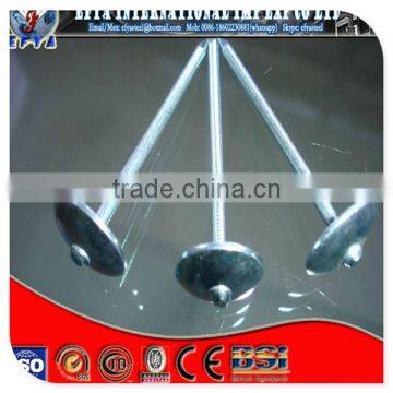 BWG13X 1-3/4" Electro Galvanized Roofing Nail With Umbrella Head