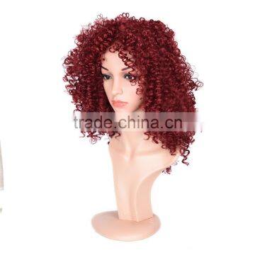 Hot Sale Kinky Curly Synthetic Hair Wigs photo-5