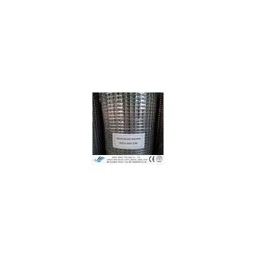 Electro Welded Wire Mesh photo-2