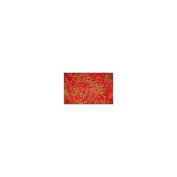 Red Chilli