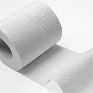 3-4 Ply Sanitary Toilet Paper Soft Hardwound Roll