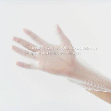 Vinyl Glove