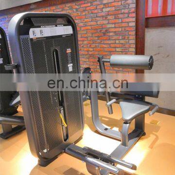 Wholesale Powerful Bodybuilding Tools Sports Machine Lower Pin Loaded Back Extension Equipment for Sale SES31 photo-4