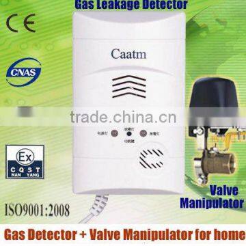 Gas leak detector and alarm