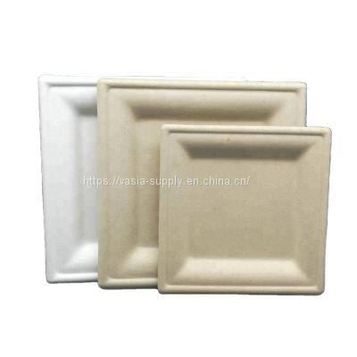 Special Occasions 16x16cm bagasse square plates for hot or cold food