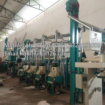 Project Turnkey Wheat Grinding Machine 20T Factory Popular Wheat Grinder Wheat Flour Making Machine photo-3