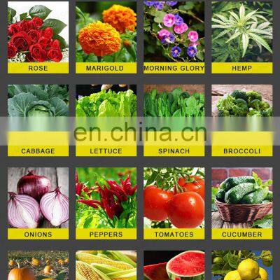 Auto Vegtable Tray Seeder Greenhouse Pneumatic Seeder