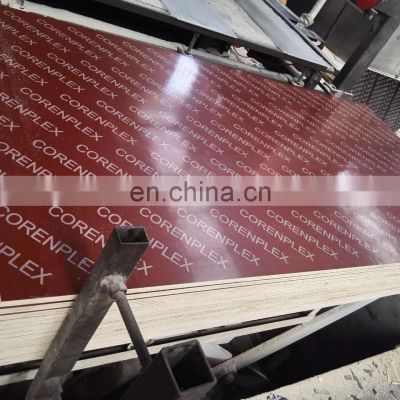 concrete building construction film faced panels formwork shuttering plywood CORENPLEX