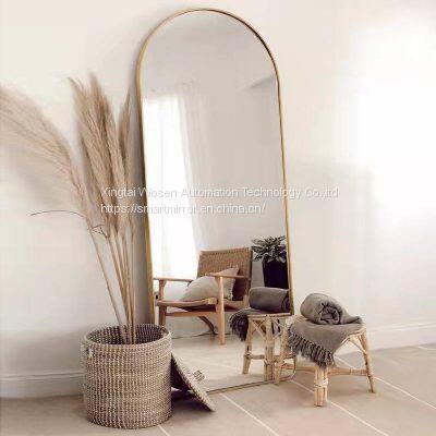 Arched Aluminum Frame Full Body Mirror Household Floor Mirror Light Luxury Thin Clothing Store Fitting Mirror photo-2