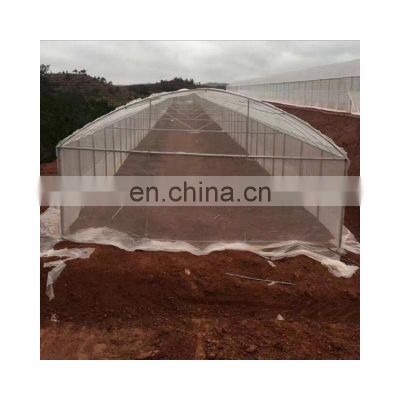 Custom 100% pe transparent color greenhouse anti insect net for plant