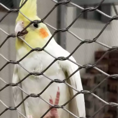 304/316 Barrière de protection tissée en acier inoxydable Câble en métal flexible Câble pour cage à oiseaux Filet de protection de sécurité