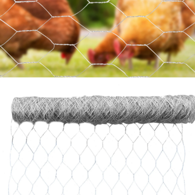 PVC Coated Chicken Wire Fence for Feeding Rabbits