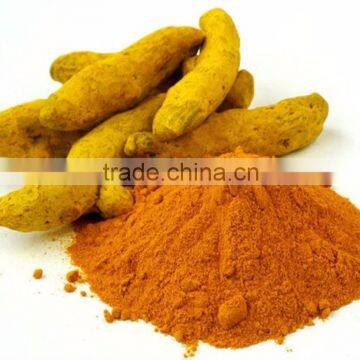 GradeOne Natural Turmeric Powder Bulk Producers