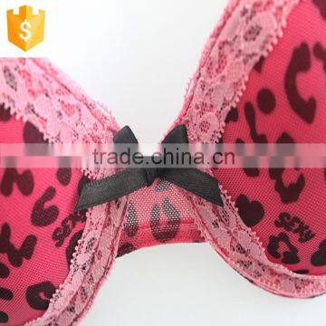The Sexy Ladies Leopard Lace Bra photo-5