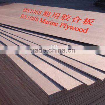 Bs1088 3mm Marine Plywood photo-3