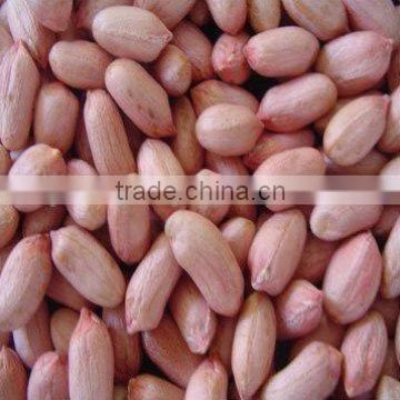 Good raw peanuts without shell