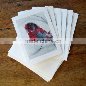 Christmas Cards, Red Finch in Snow Watercolor Painting card,Set of Six Blank Cards,hand-painted cards,christmas finch card