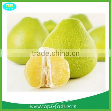 2015 Chinese Golden Honey Pomelo