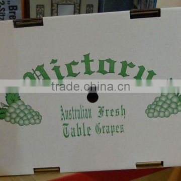 fruitage paper box/portable box /good quality box