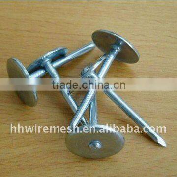 Galvanized Concrete Nails