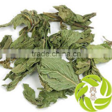 Wholesale mint herbal medicines increase immunity dried mint leaf herbal tea slimming tea