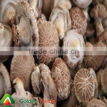 the Most Competitive Market Prices for Shiitake Mushroom photo-2