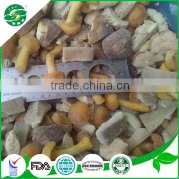 Iqf Frozen Mixed Mushroom (shiitake Nameko Oyster) photo-3