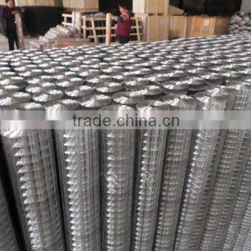Free Sample Piece/304 Stainless Steel Wire Netting / AISI316 304 Welded Wire Mesh/SS Wire Mesh Filter photo-3