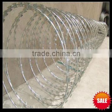 HOT!! 500mm Galvanized Razor Ribbon Wire