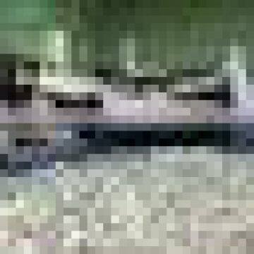 VIETNAM DESSICATED COCONUT HIGH FAT BEST QUANLITY photo-2