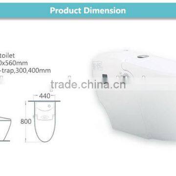 Ceramic Intelligent One Piece Smart Toilet EAT01