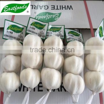 Chinese normal white fresh garlic 5.5cm