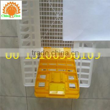 chicken transfer cage / plastic chicken cage